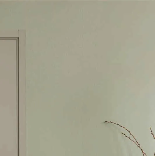 WPC Waterproof Door DF61AX-099