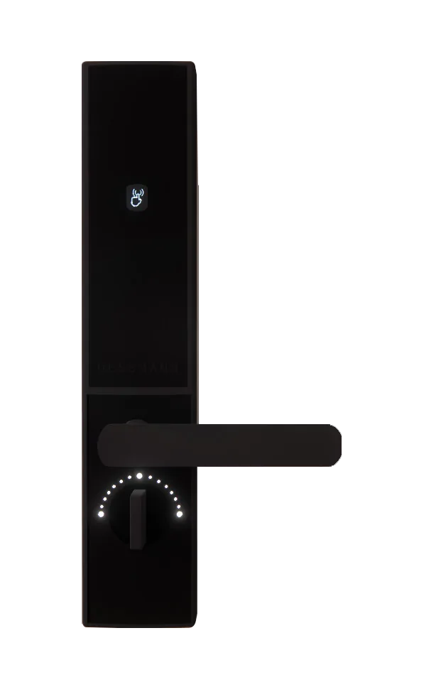 DZ05AF-J012 Aluminium Wooden Door