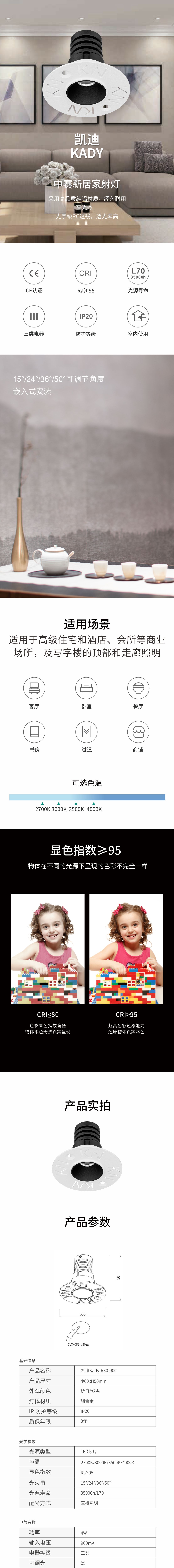 凯迪1.jpg